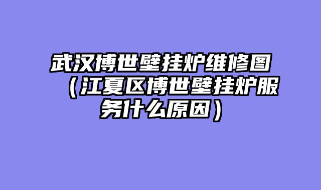 武汉博世壁挂炉维修图（江夏区博世壁挂炉服务什么原因）