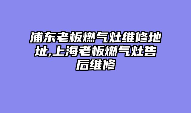 浦东老板燃气灶维修地址,上海老板燃气灶售后维修