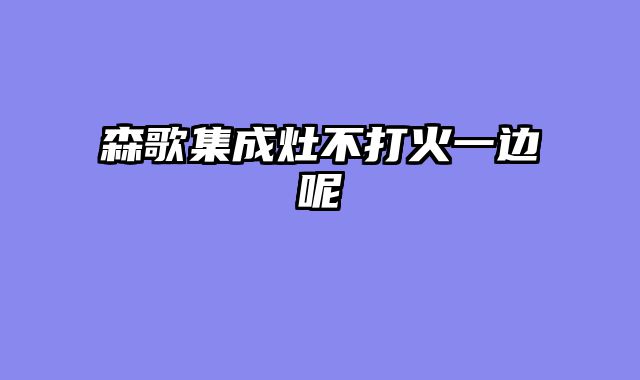 森歌集成灶不打火一边呢