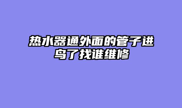 热水器通外面的管子进鸟了找谁维修