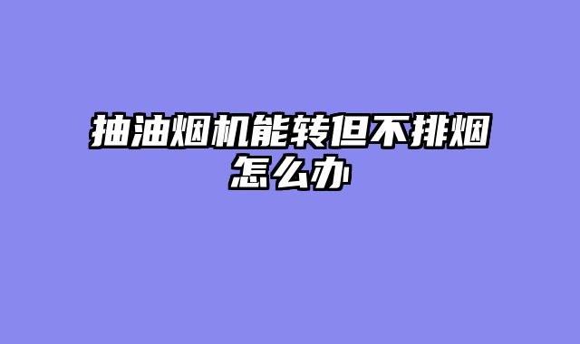 抽油烟机能转但不排烟怎么办
