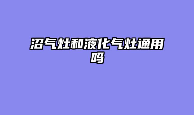 沼气灶和液化气灶通用吗