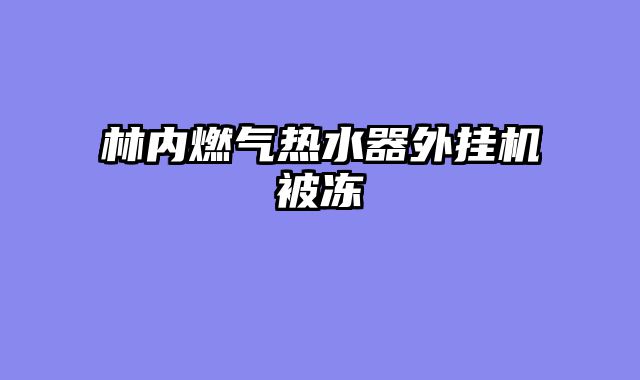 林内燃气热水器外挂机被冻