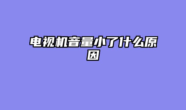 电视机音量小了什么原因