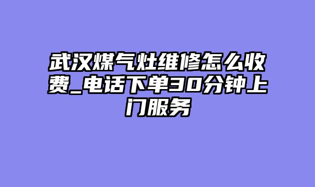 武汉煤气灶维修怎么收费_电话下单30分钟上门服务
