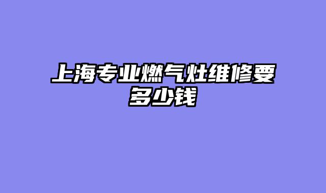 上海专业燃气灶维修要多少钱