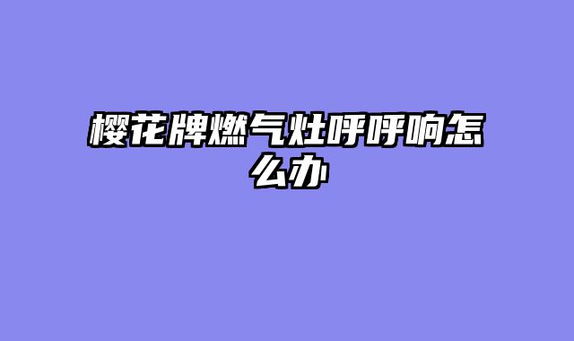 樱花牌燃气灶呼呼响怎么办