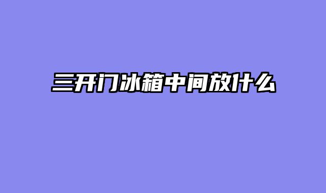三开门冰箱中间放什么