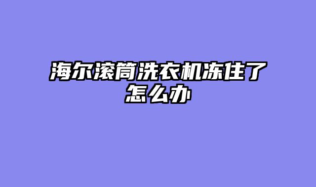 海尔滚筒洗衣机冻住了怎么办