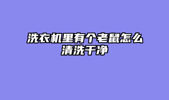 洗衣机里有个老鼠怎么清洗干净