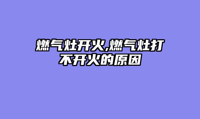 燃气灶开火,燃气灶打不开火的原因