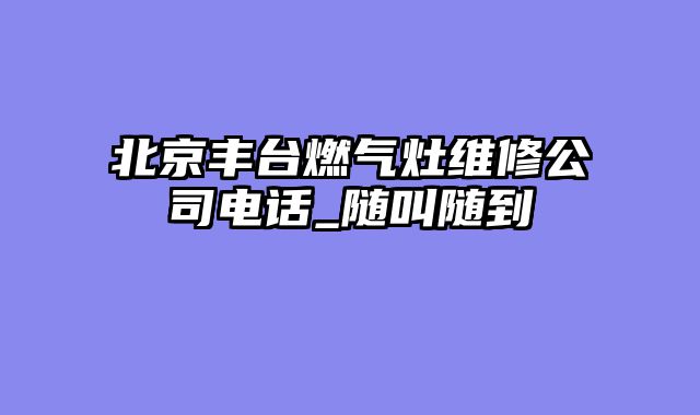 北京丰台燃气灶维修公司电话_随叫随到