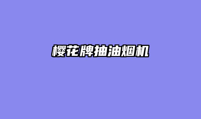 樱花牌抽油烟机