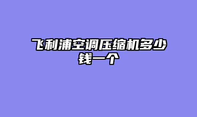 飞利浦空调压缩机多少钱一个