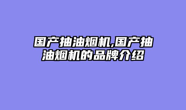国产抽油烟机,国产抽油烟机的品牌介绍