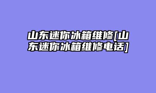 山东迷你冰箱维修[山东迷你冰箱维修电话]