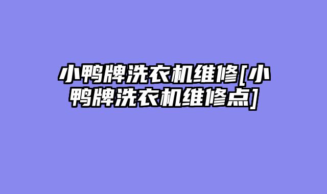 小鸭牌洗衣机维修[小鸭牌洗衣机维修点]