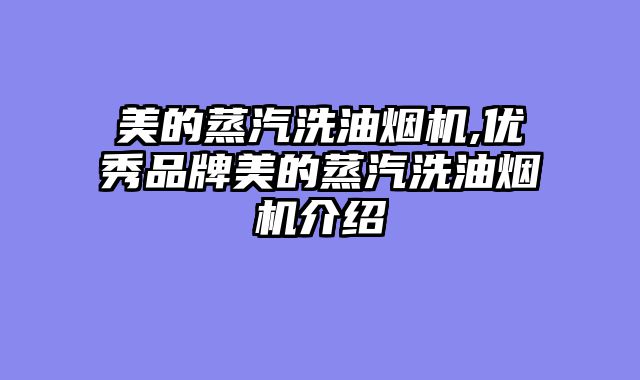 美的蒸汽洗油烟机,优秀品牌美的蒸汽洗油烟机介绍