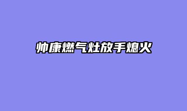 帅康燃气灶放手熄火