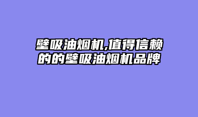 壁吸油烟机,值得信赖的的壁吸油烟机品牌