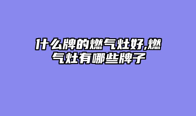 什么牌的燃气灶好,燃气灶有哪些牌子