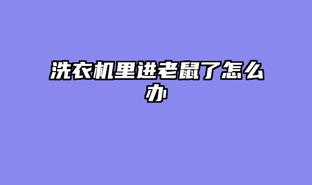 洗衣机里进老鼠了怎么办