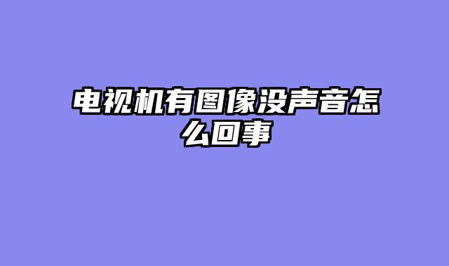电视机有图像没声音怎么回事