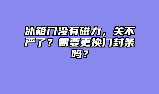 冰箱门没有磁力，关不严了？需要更换门封条吗？