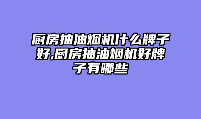厨房抽油烟机什么牌子好,厨房抽油烟机好牌子有哪些