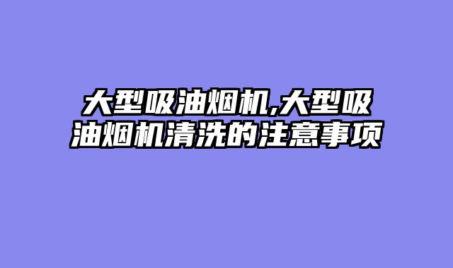 大型吸油烟机,大型吸油烟机清洗的注意事项