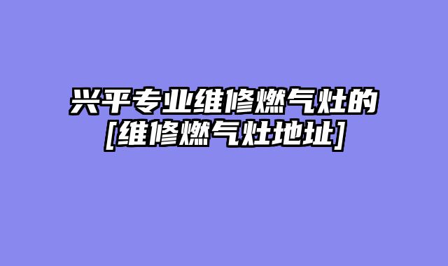 兴平专业维修燃气灶的[维修燃气灶地址]