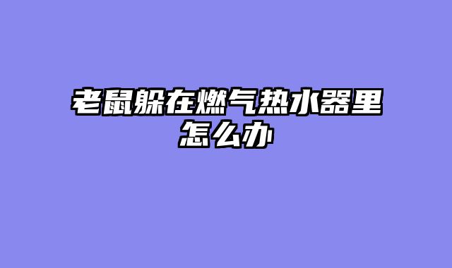 老鼠躲在燃气热水器里怎么办