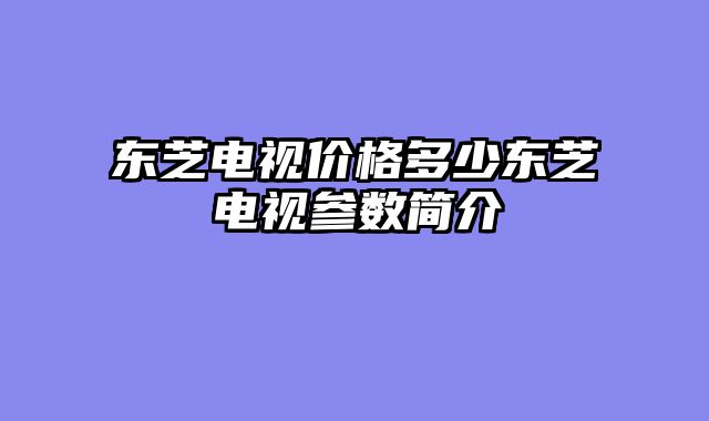 东芝电视价格多少东芝电视参数简介
