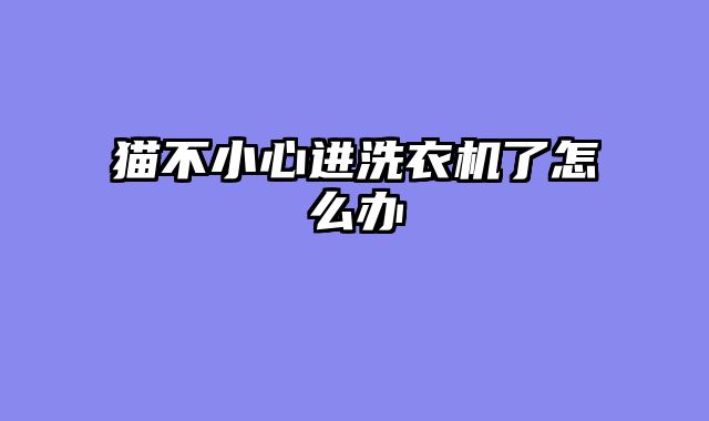 猫不小心进洗衣机了怎么办