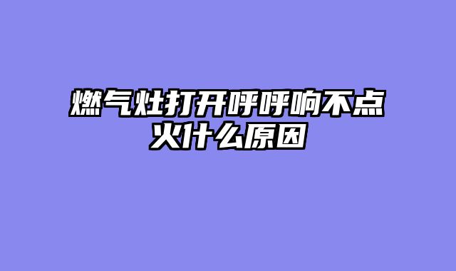 燃气灶打开呼呼响不点火什么原因