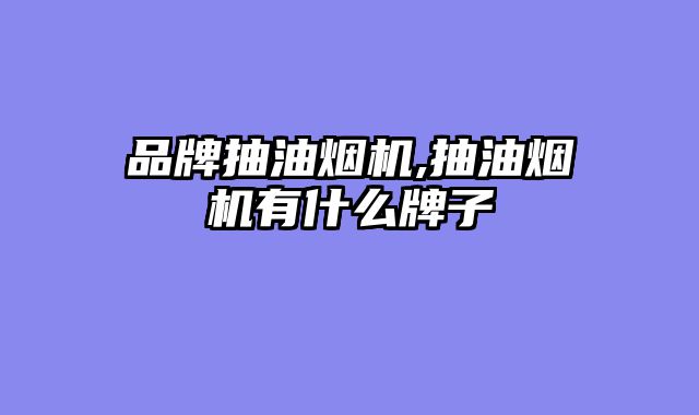 品牌抽油烟机,抽油烟机有什么牌子