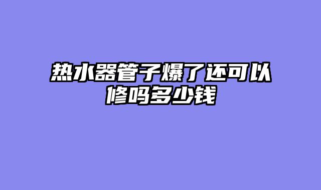 热水器管子爆了还可以修吗多少钱