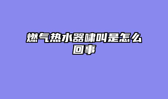 燃气热水器啸叫是怎么回事