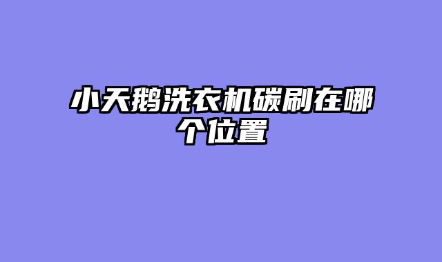 小天鹅洗衣机碳刷在哪个位置