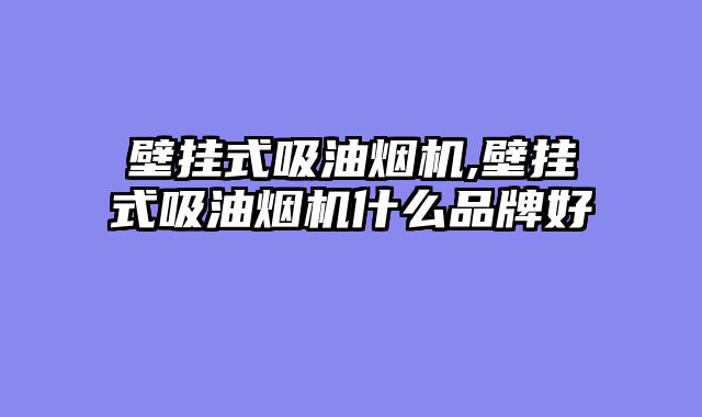 壁挂式吸油烟机,壁挂式吸油烟机什么品牌好