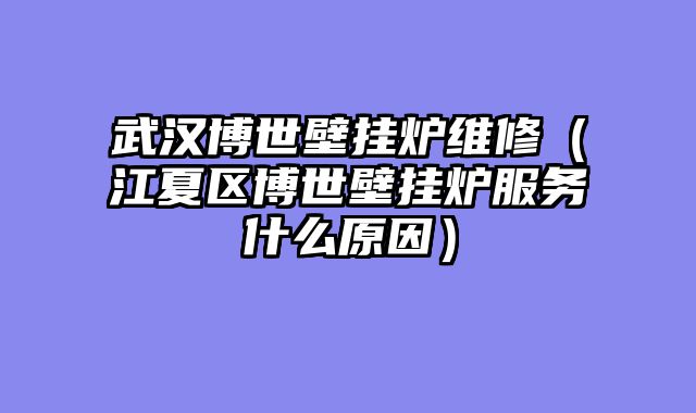 武汉博世壁挂炉维修（江夏区博世壁挂炉服务什么原因）