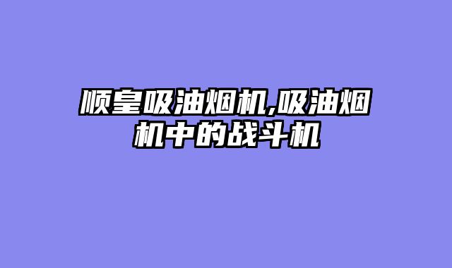 顺皇吸油烟机,吸油烟机中的战斗机