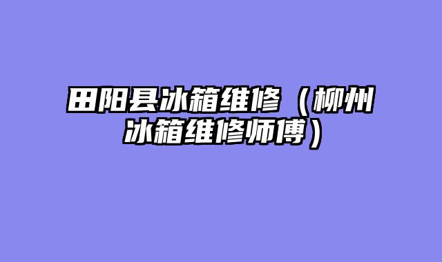 田阳县冰箱维修（柳州冰箱维修师傅）