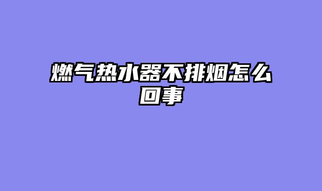 燃气热水器不排烟怎么回事