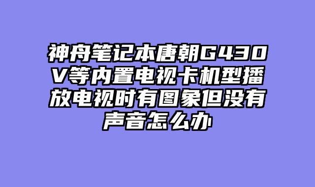 神舟笔记本唐朝G430V等内置电视卡机型播放电视时有图象但没有声音怎么办