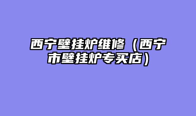 西宁壁挂炉维修（西宁市壁挂炉专买店）