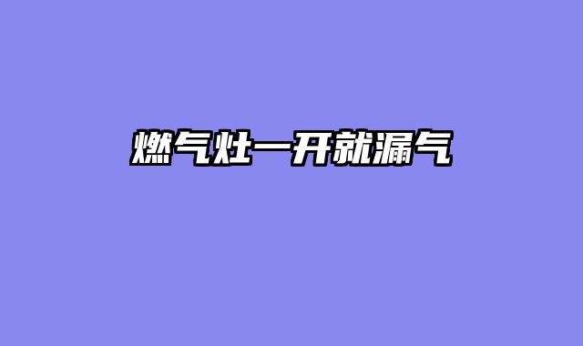 燃气灶一开就漏气