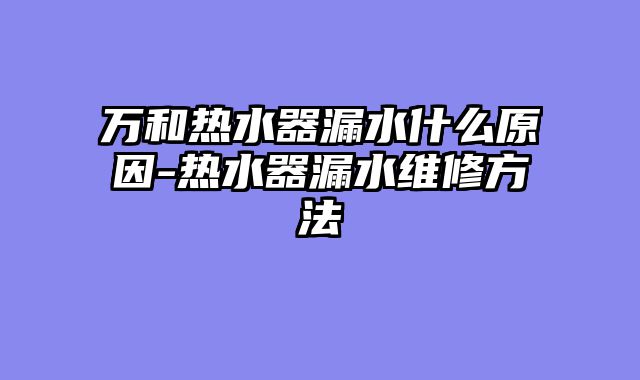万和热水器漏水什么原因-热水器漏水维修方法