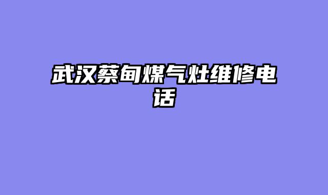 武汉蔡甸煤气灶维修电话