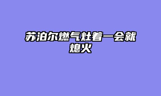 苏泊尔燃气灶着一会就熄火